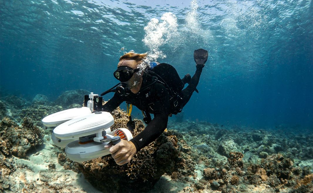Scuba Diving 101: The Basic Diving Skills Every Diver Should Know