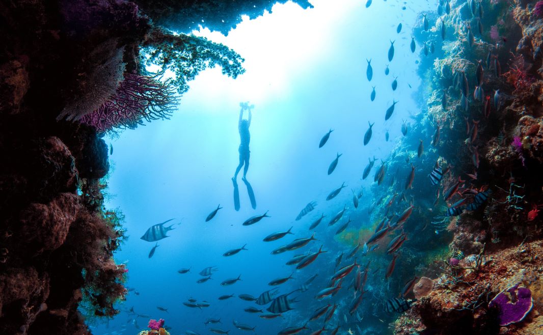 Why Is Saltwater Diving Good For Your Health?