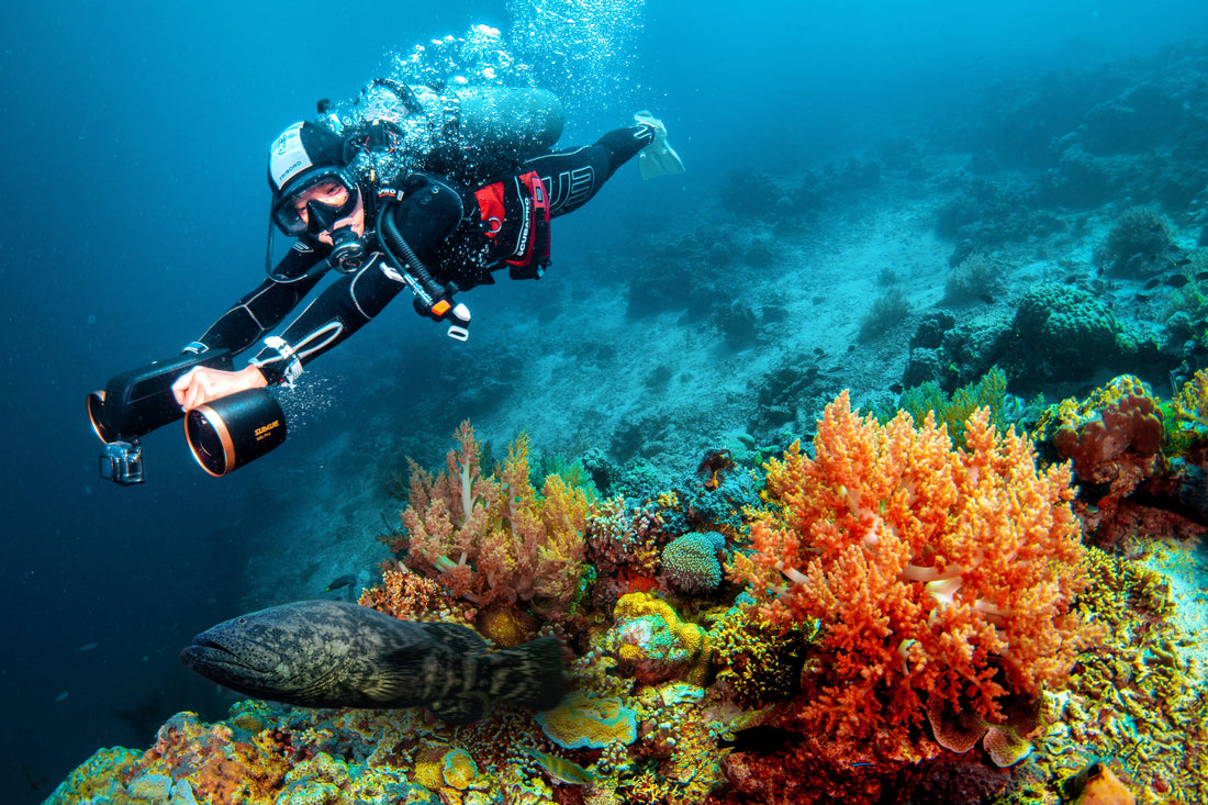 Scuba Diving 101: How To Master Your Buoyancy