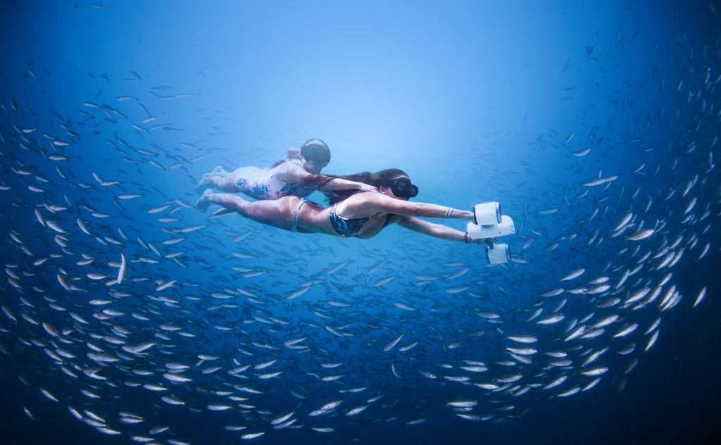 Four Reasons Why You Should Start Freediving ASAP