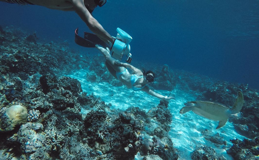 Here’s Exactly What You Need to Know About Freediving