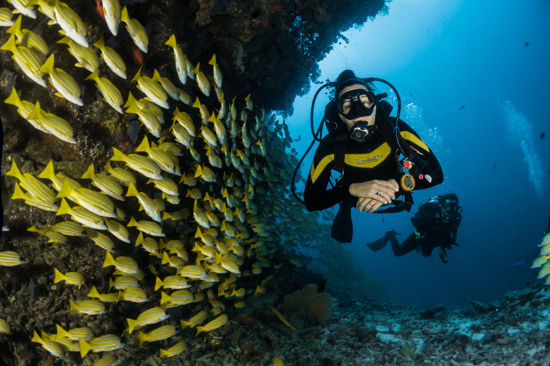 How Scuba Diving Can Improve Your Mental Health
